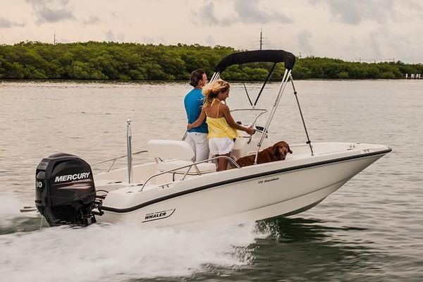 Boston Whaler 170 Dauntless - main image