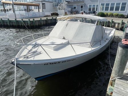 Custom Bay Head Skiff image