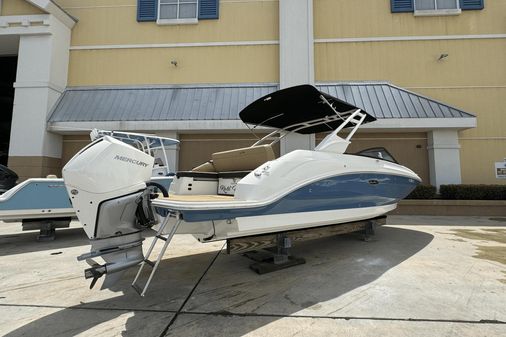 Sea Ray 250 SDX OB image