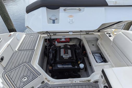 Sea Ray 250SDX image