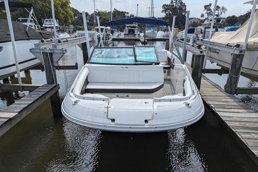 Sea Ray 250SDX image