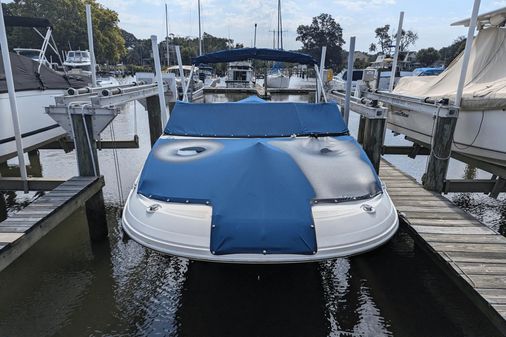 Sea Ray 250SDX image