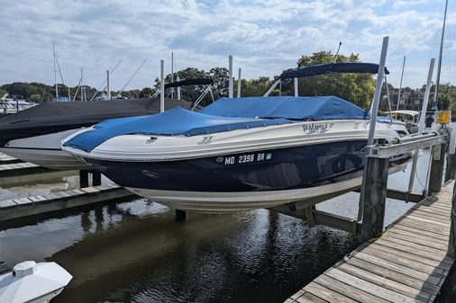 Sea Ray 250SDX image