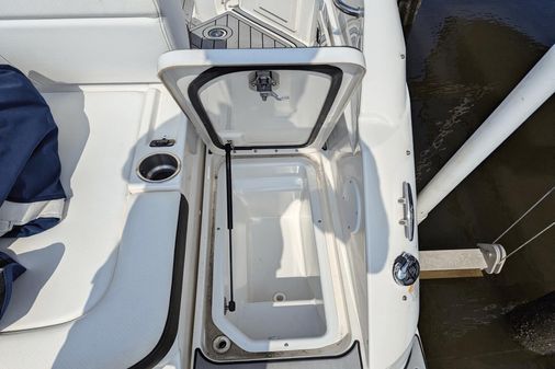 Sea Ray 250SDX image