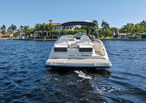 Sea Ray 290 Sundeck image