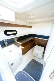 Sea Ray 290 Sundeck image