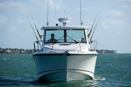 Boston Whaler 315 Conquest image