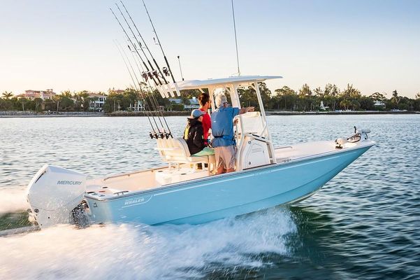 Boston Whaler 210 Montauk - main image