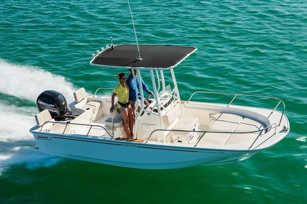 Boston Whaler 190 Montauk - main image