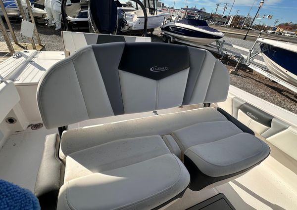 Robalo 266-CAYMAN image