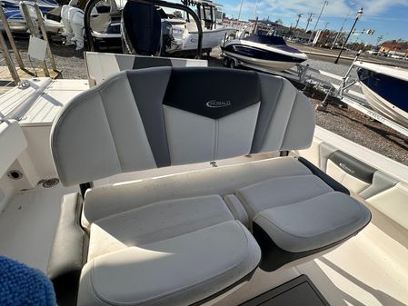 Robalo 266-CAYMAN image