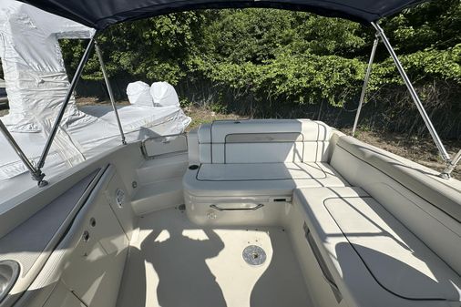 Sea Ray 260 Sundeck image