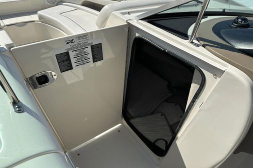 Sea Ray 260 Sundeck image