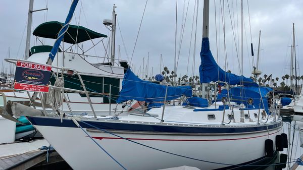 Tayana Vancouver 42