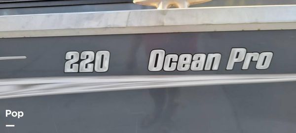 Hewes Ocean Pro 220 image