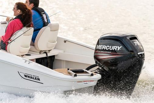 Boston-whaler 160-SUPER-SPORT image
