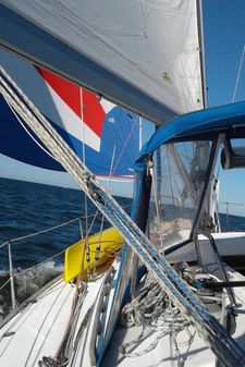 Hunter 40 image