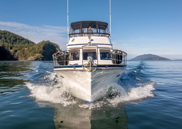 Ocean-alexander COCKPIT-M-Y image