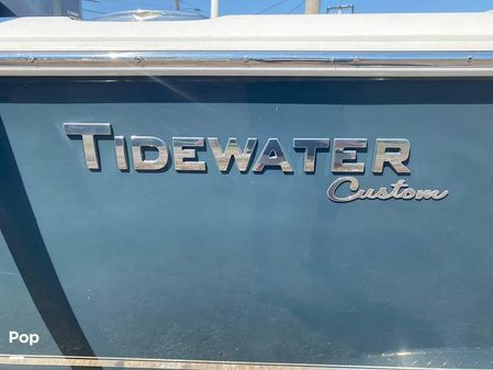 Tidewater Carolina Bay Custom 2700 image