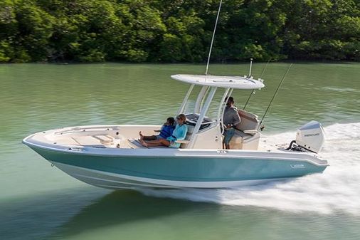 Boston-whaler 250-DAUNTLESS image