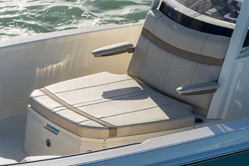 Boston-whaler 250-DAUNTLESS image