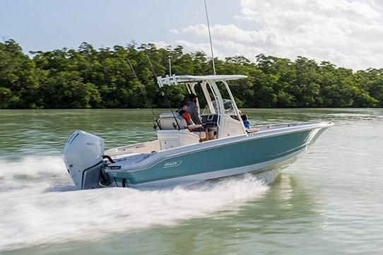 Boston-whaler 250-DAUNTLESS - main image