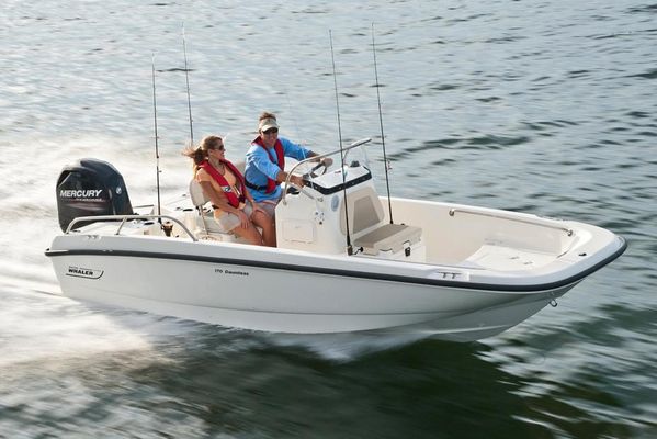 Boston Whaler 170 Dauntless - main image
