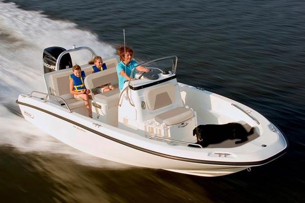 Boston Whaler 180 Dauntless - main image