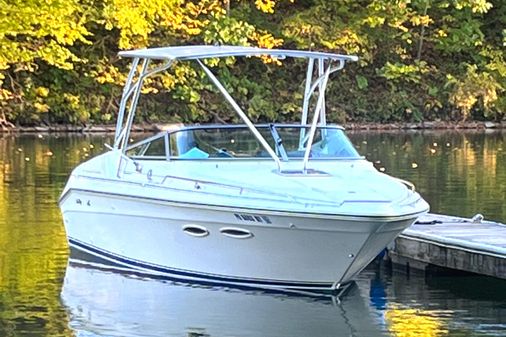 Sea Ray 260 Overnighter image