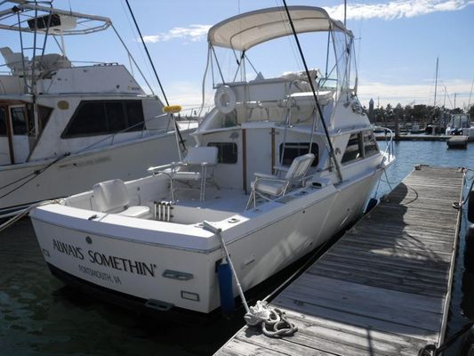 Bertram 28 Flybridge CRUISER - main image