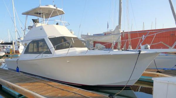 Jersey 36 Convertible Sportfisher 