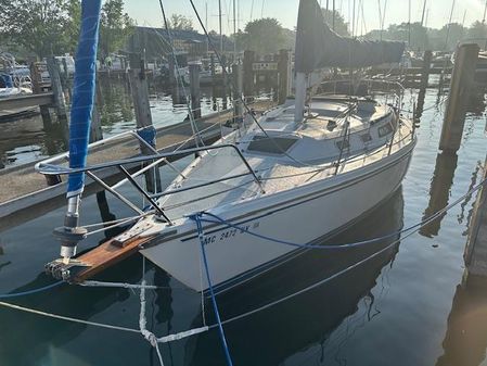 Catalina 30' Tall Rig image