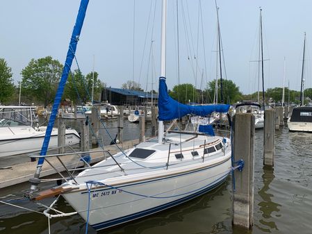 Catalina 30' Tall Rig image