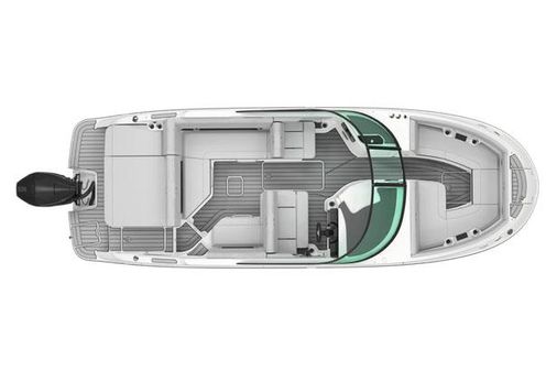 Sea-ray SDX-250-OUTBOARD image