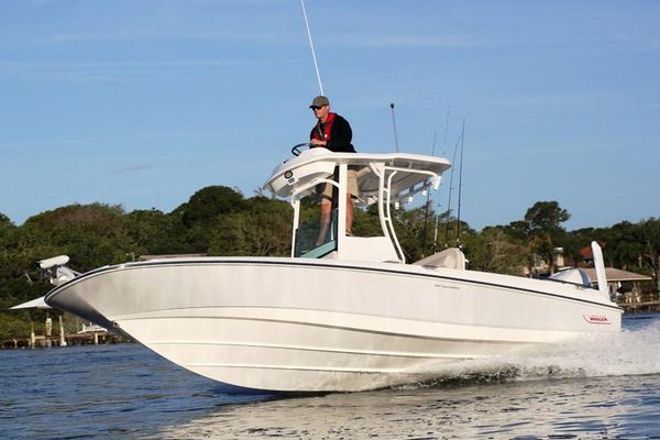 Boston Whaler 240 Dauntless Pro - main image