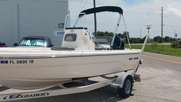 Sea Born 19 SV