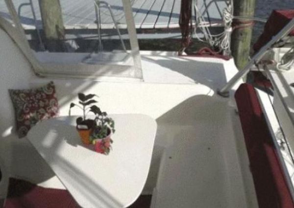 Manta 40 image