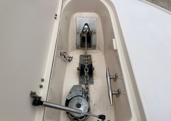 Grady-White Bimini 306 image