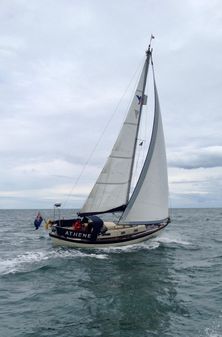 Victoria 30 image