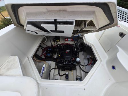 Sea-ray 260-SUNDANCER image