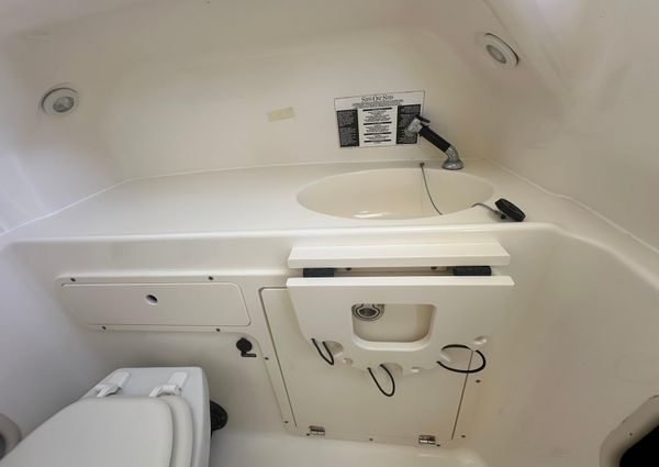 Boston-whaler 320-OUTRAGE image