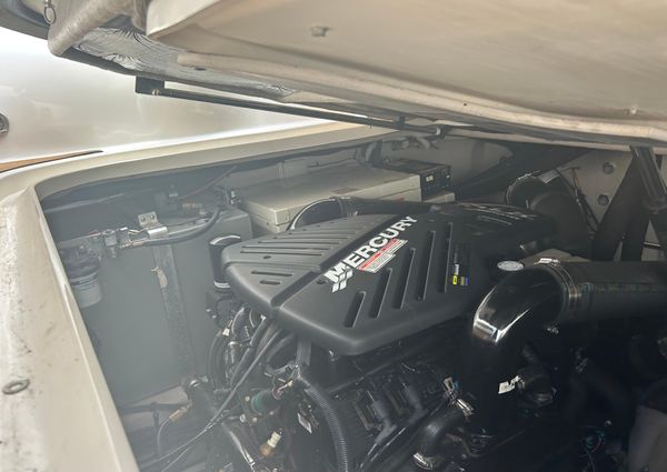 Sea Ray 360 Sundancer image