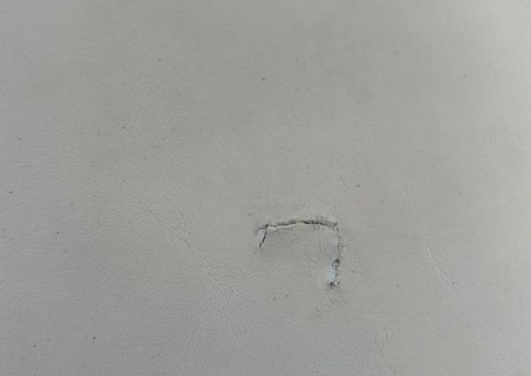 Sea Ray 360 Sundancer image