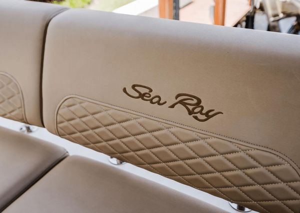 Sea Ray L550 Fly image