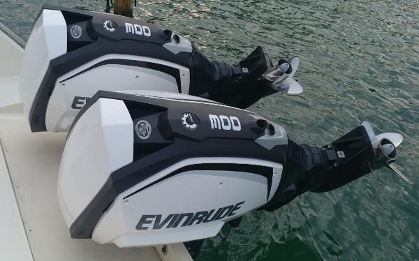 Evinrude H300XUAH image