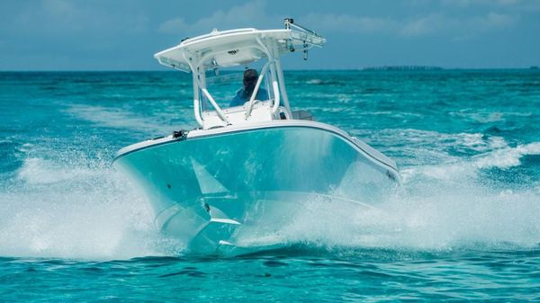 Edgewater 245CC