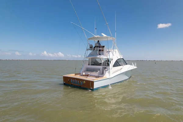 Hatteras GT45X Flybridge image