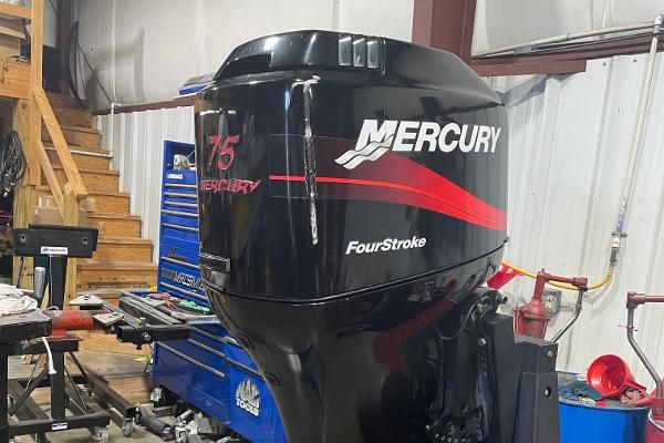 Mercury 75hp ELPT