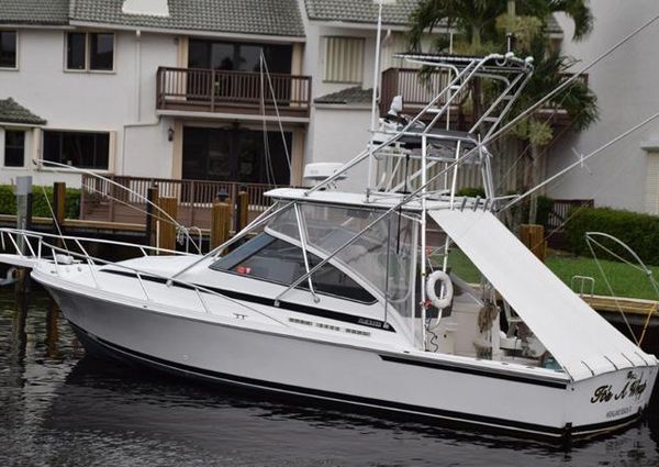 Blackfin 33 Combi image