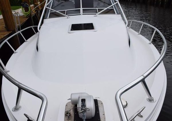 Blackfin 33 Combi image